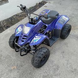 TAOTAO TAO TAO ATV 110 