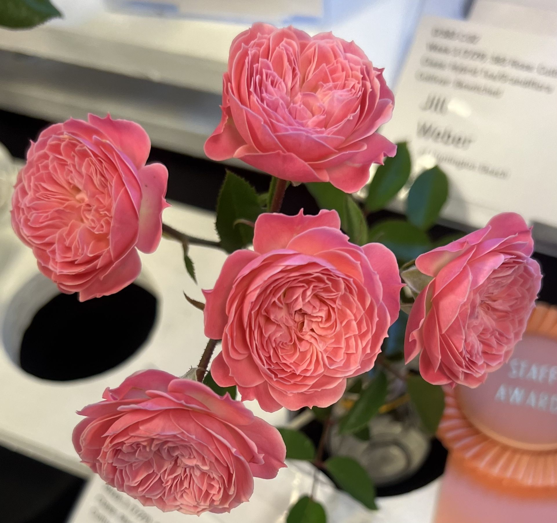 West Long Beach Coach New And New Wo Tags