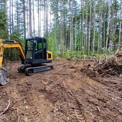 Mini Excavator 2.5 TON 