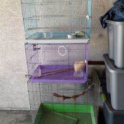 Bird Cage For Sale