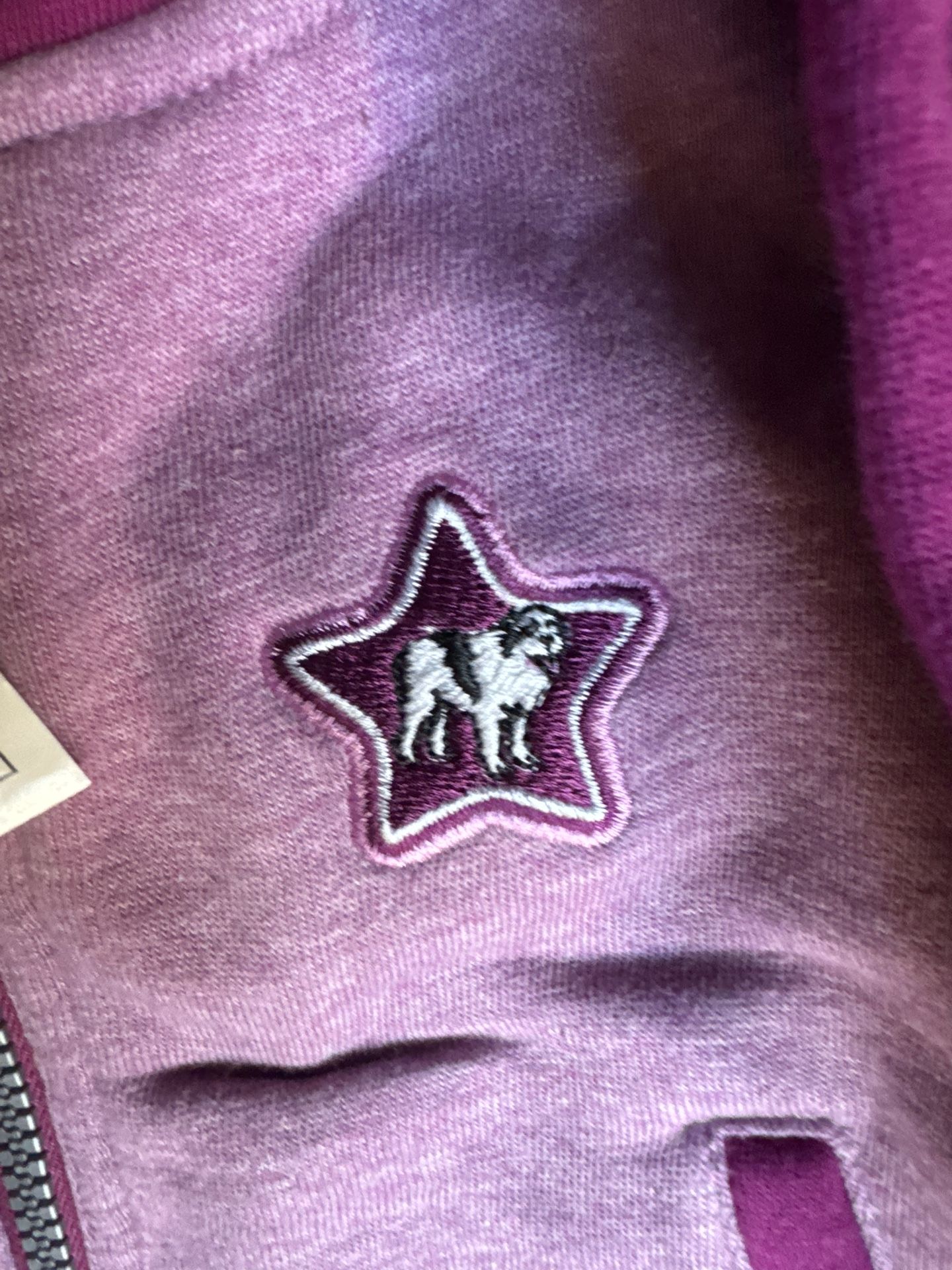 Adorable Brand New Big Dogs Pink Hoodie Jacket - Size 6-12 Months