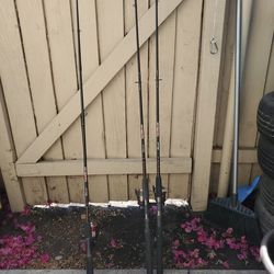 Ugly stick gx2 Shakespeare fishing rods