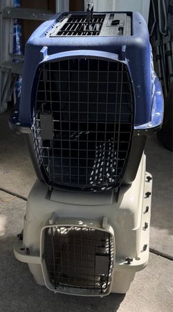 Kennels
