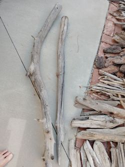 4 foot tree branches
