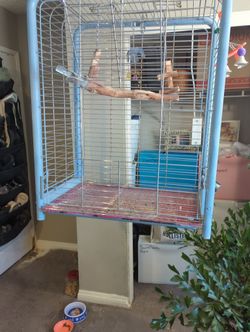 Large Parrot Cage
