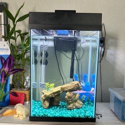 10 Gallon Fish Tank And Accessories 