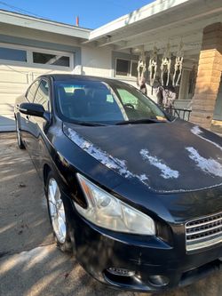 2010 maxima Nissan
