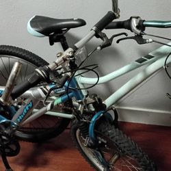 Trek Mountain  / Vintage Huffy Mmountain