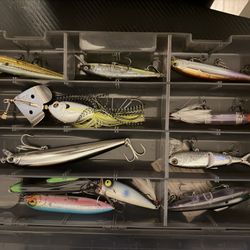 Fishing Lures-jerk Baits/ Walking Baits 