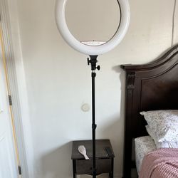 Professional Ring Light