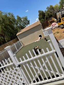 Dog parks