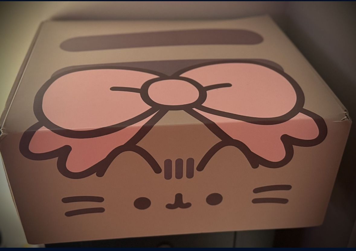 Pusheen Lot Box