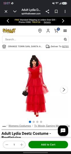 Adult Lydia Deetz Beetlejuice Costume