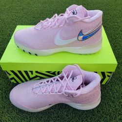 Nike LeBron NXXT Genisus Pink SIZE 13