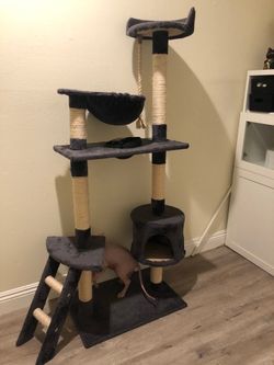 Cat Tree