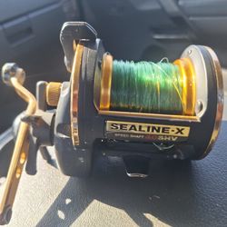 Ocean Fishing rod