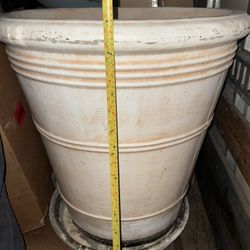 Concrete cement flower pots