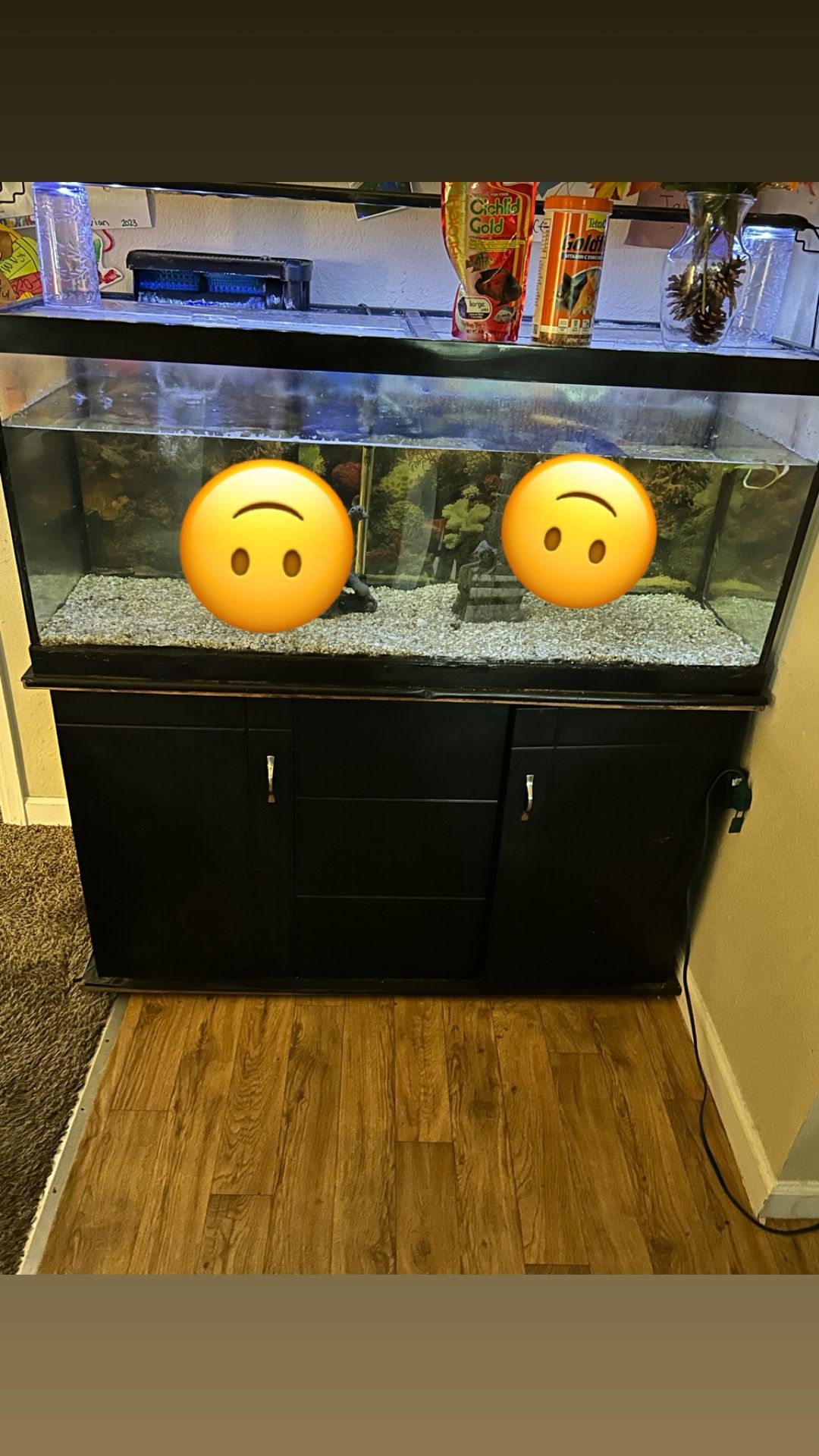 Fish Tank 75Gallons… best Offers(everything Included To Set It Up Right Away)