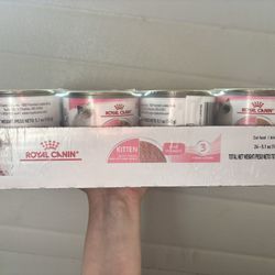 royal canin kitten wet food 24 5.1oz cans