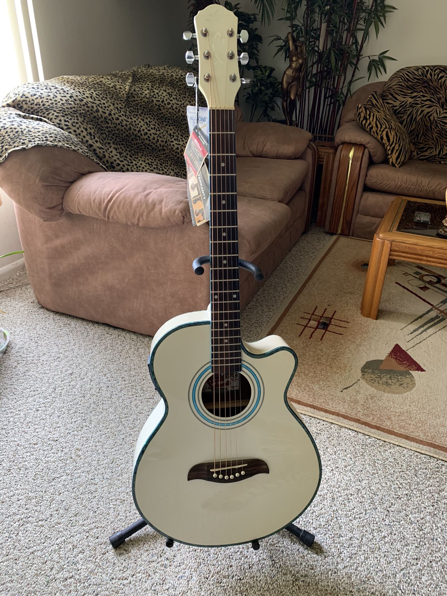 oscar schmidt by washburn acoustic and electric guitar