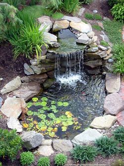Serenity Ponds