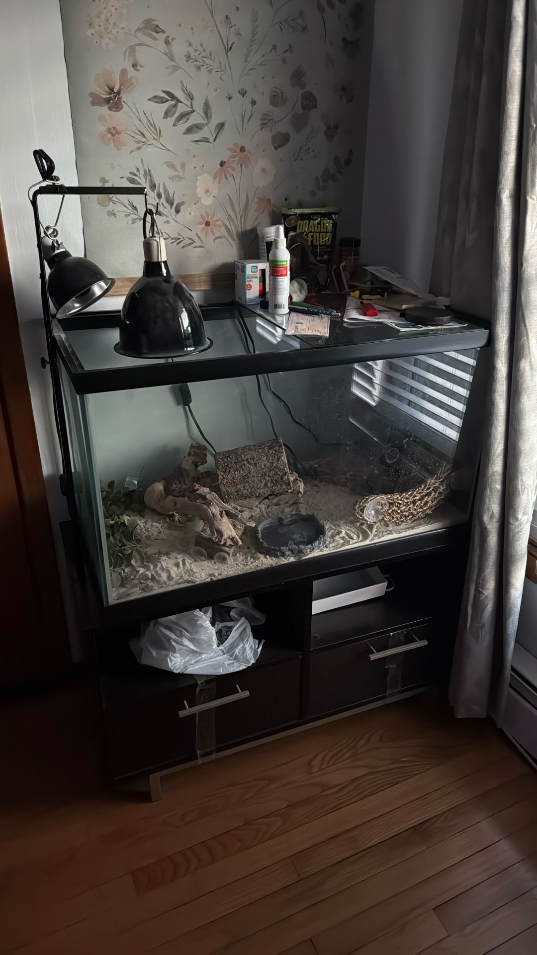 Tank w/ Bearded Dragon Equipment