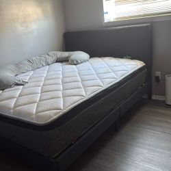 Queen Bed With Mattress 