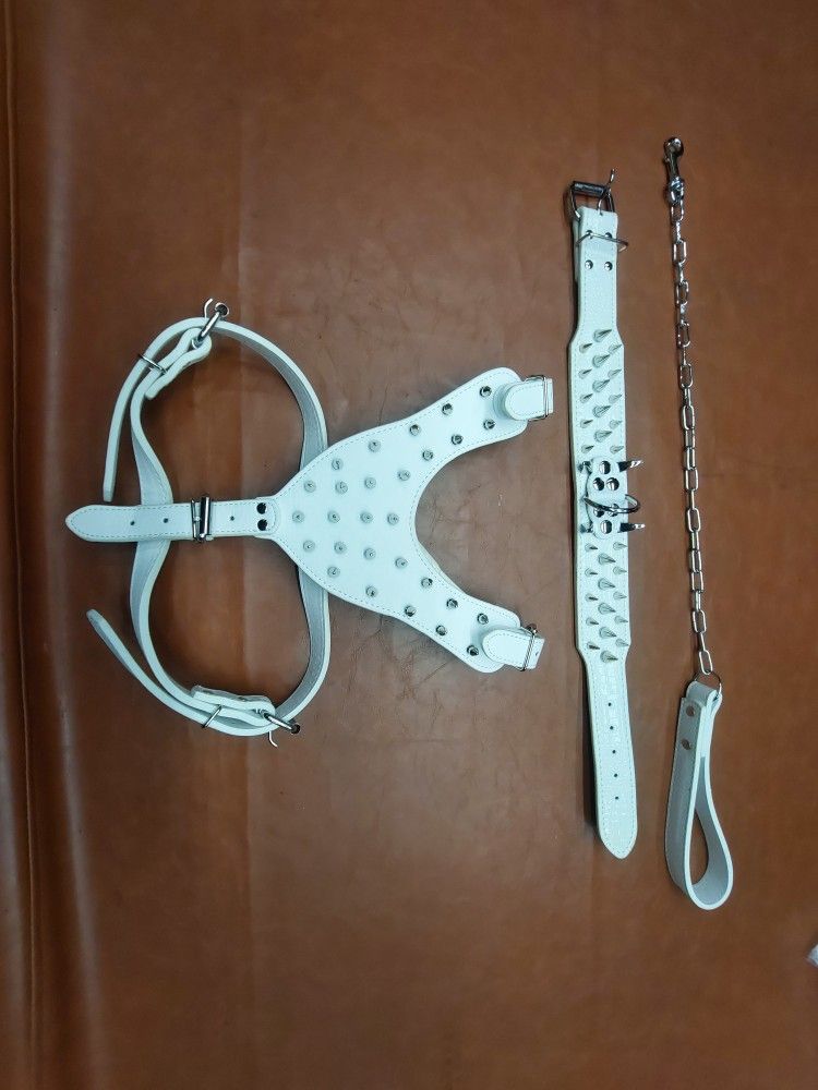 Spiked Dog Harness
