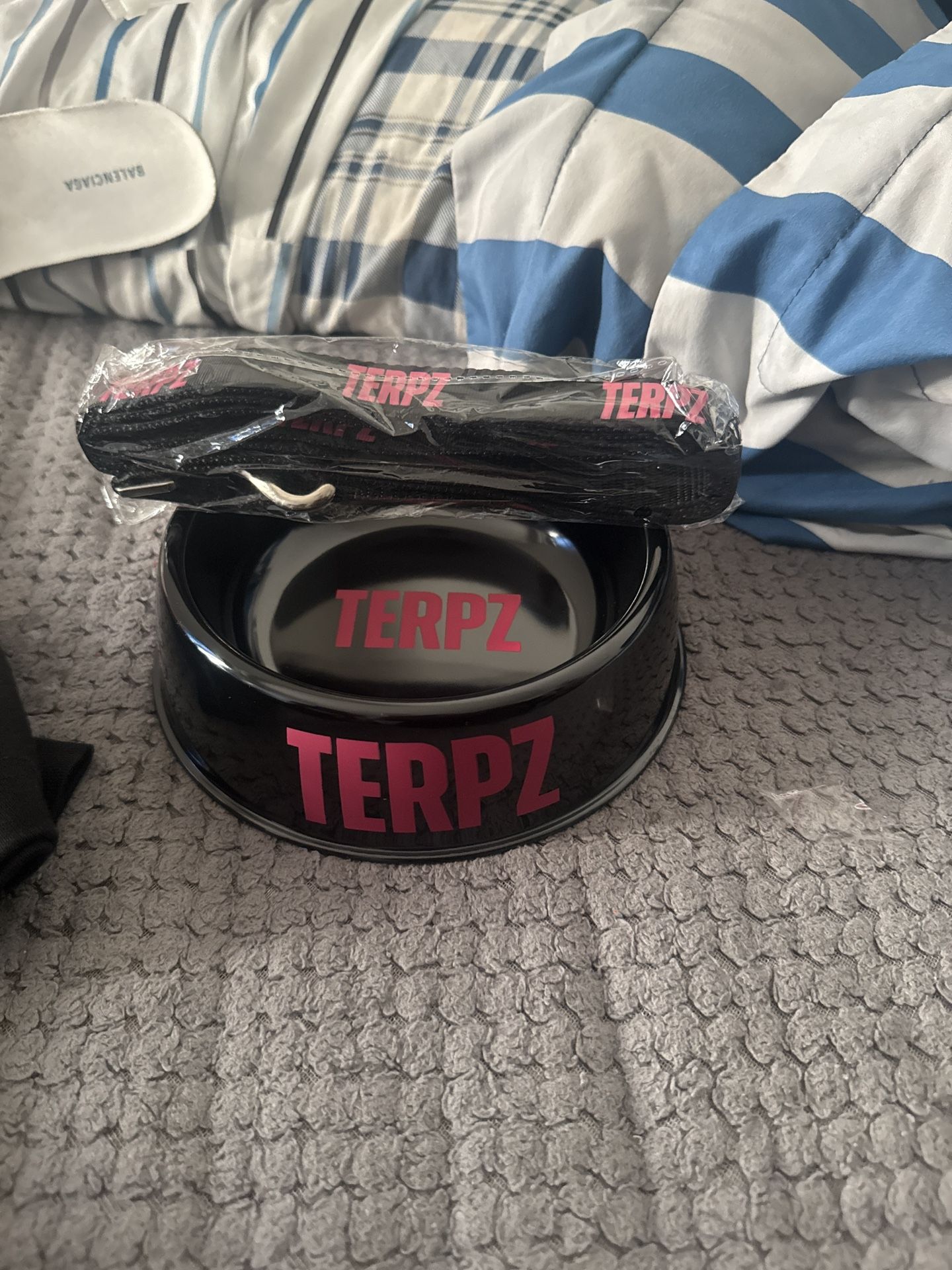 terpz brand dog bowl and leash