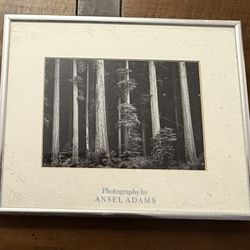 Framed Black and White landscape Photos - “Photography by Ansel Adams”