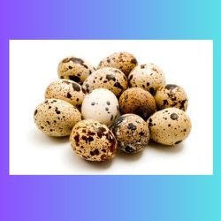 Quail EGGS - Huevos de Cordoniz 