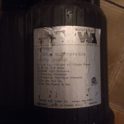 Submersible Utility Pump 