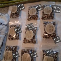 Moringa Seeds