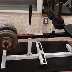 Body Solid Seated Calf Raise