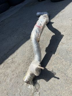 Exhaust Pipe