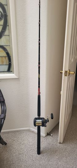 TLD 30 2-Speed Shimano Fishing reel