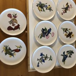 Syracuse China Plates - 8 American Songbirds