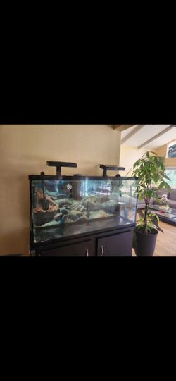Fish Tank