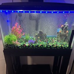 10 Gallon Fully Equipped Fish Tank With Stand 