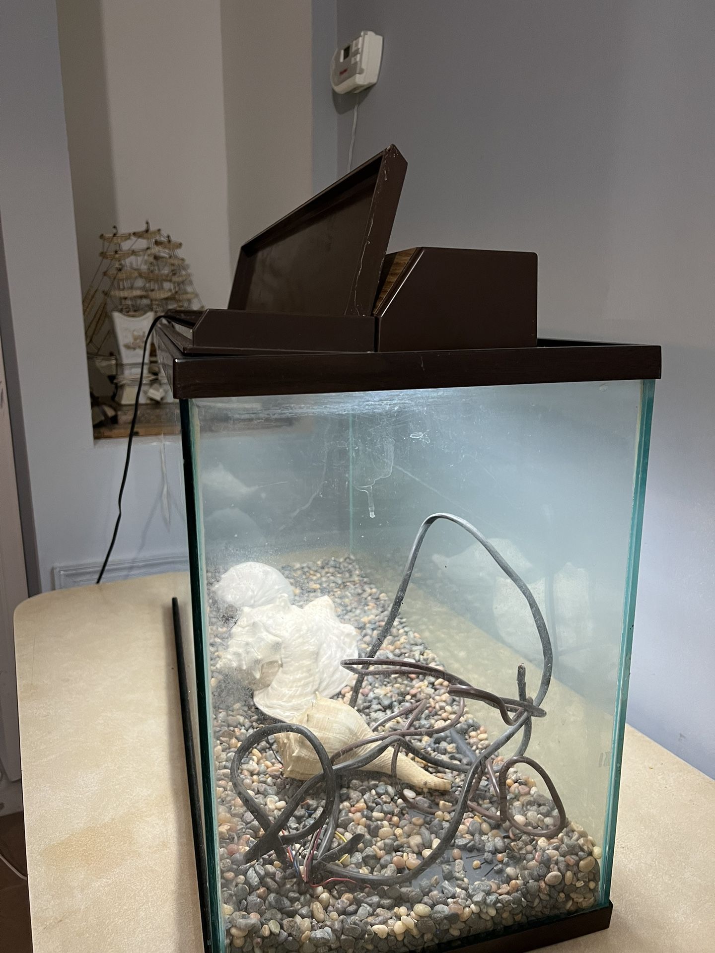 Fish Tank/Terrarium 