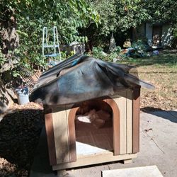 Dog House 