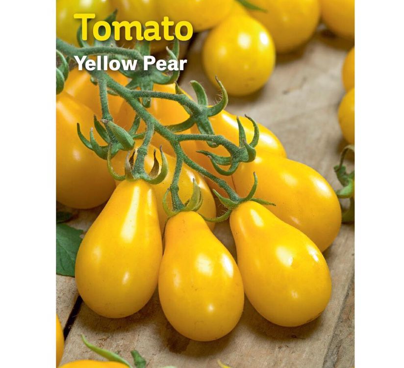 30 Organic Yellow Pear Tomato Seeds