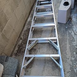 Ladder Werner 