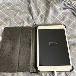 ipad mini 