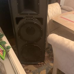 2 15 Inch Speakers 