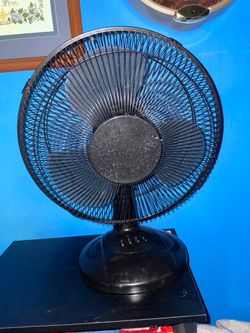 Fan
