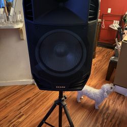 ION SPEAKER