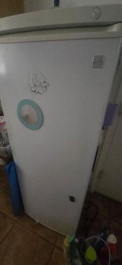 SMALL UPRIGHT FREEZER