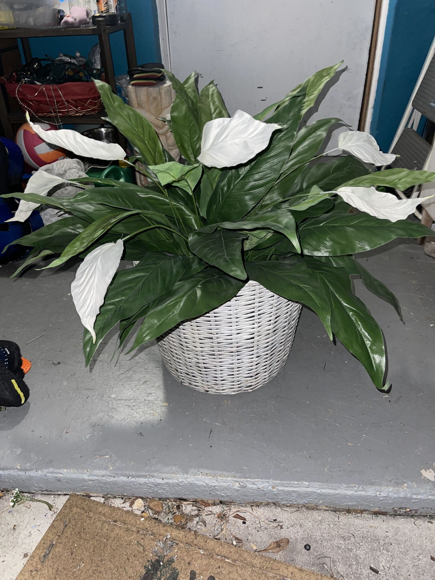 Fake Plant And Basket