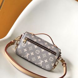 Louis Vuitton Women's classic bags